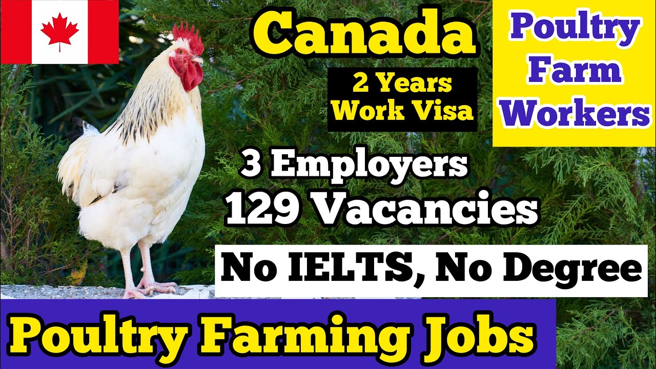 Poultry Worker Jobs in Canada with Visa Sponsorships